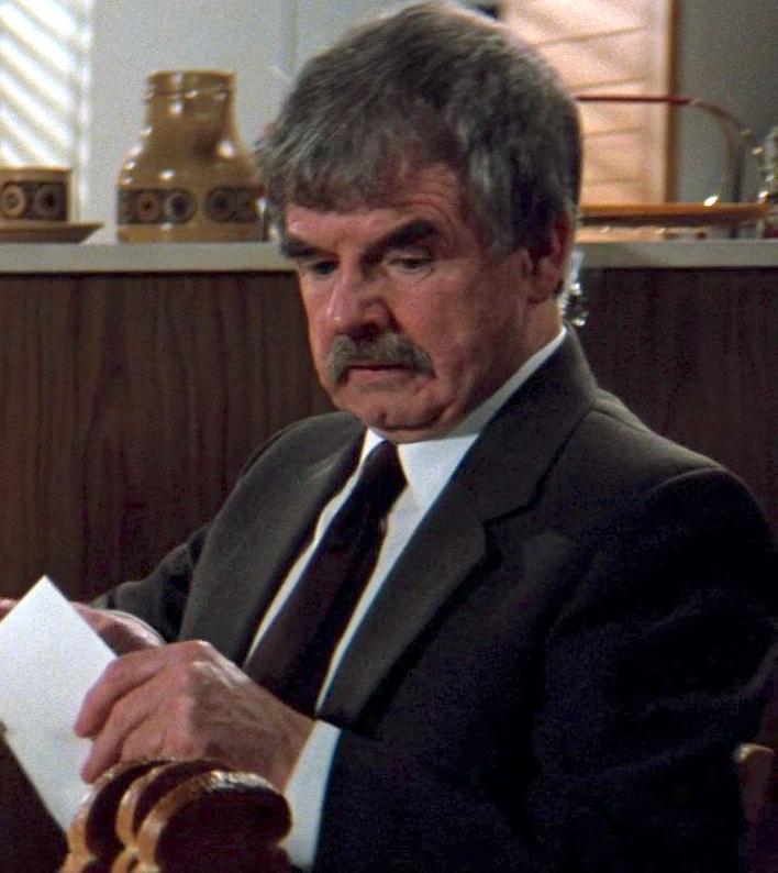 actor Ronnie Brody large photo