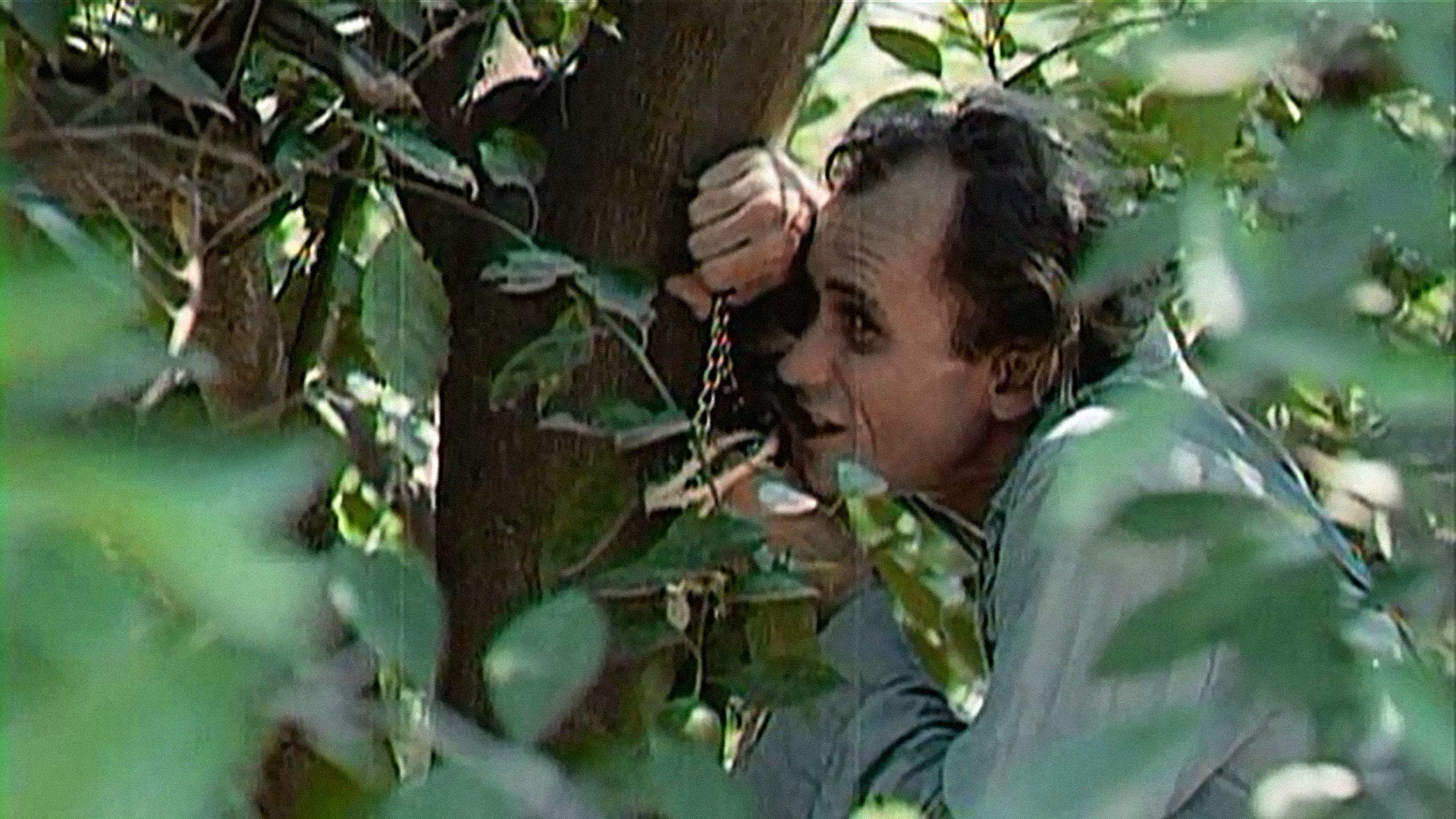 actor John Parker large photo