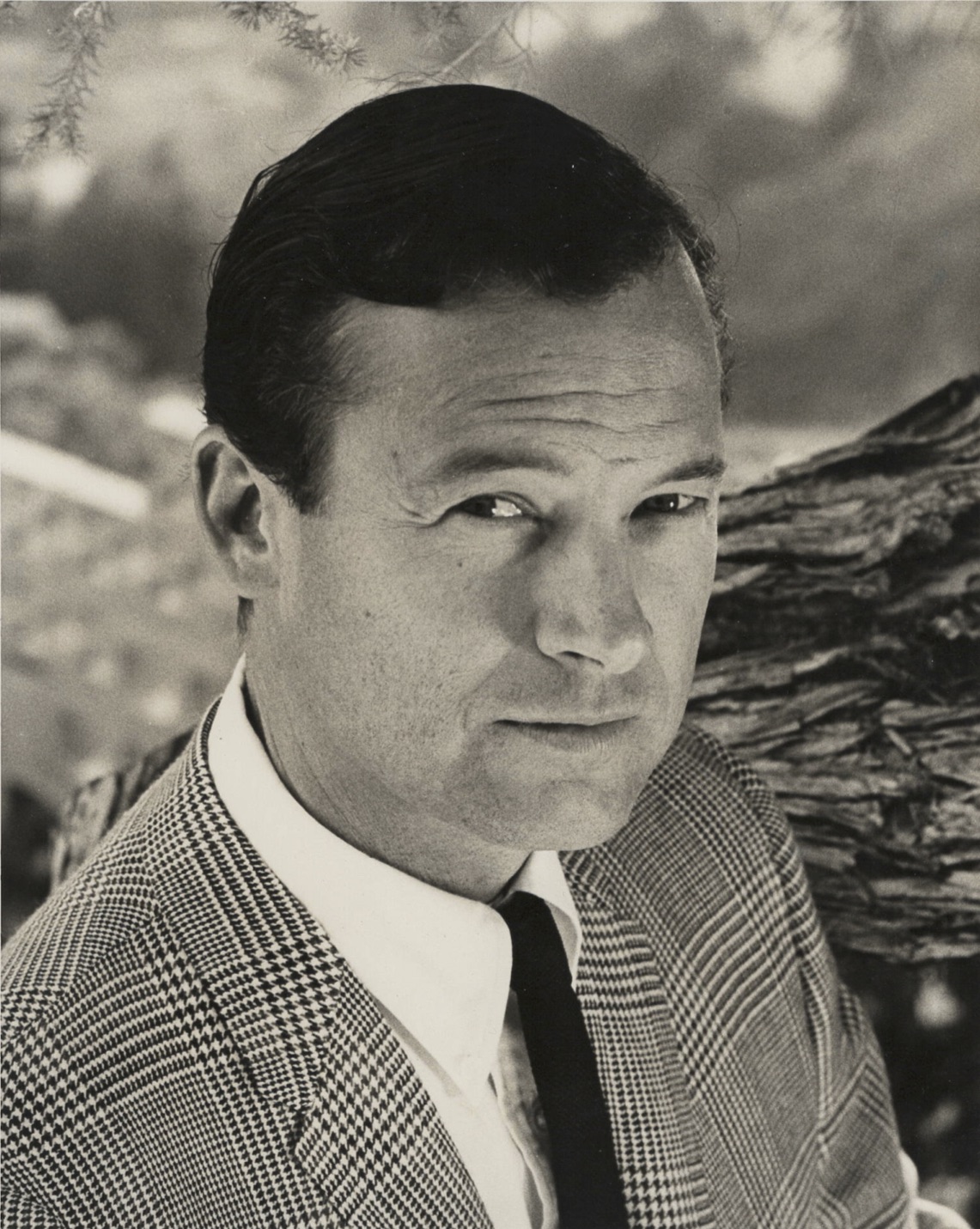 actor Mark Miller large photo