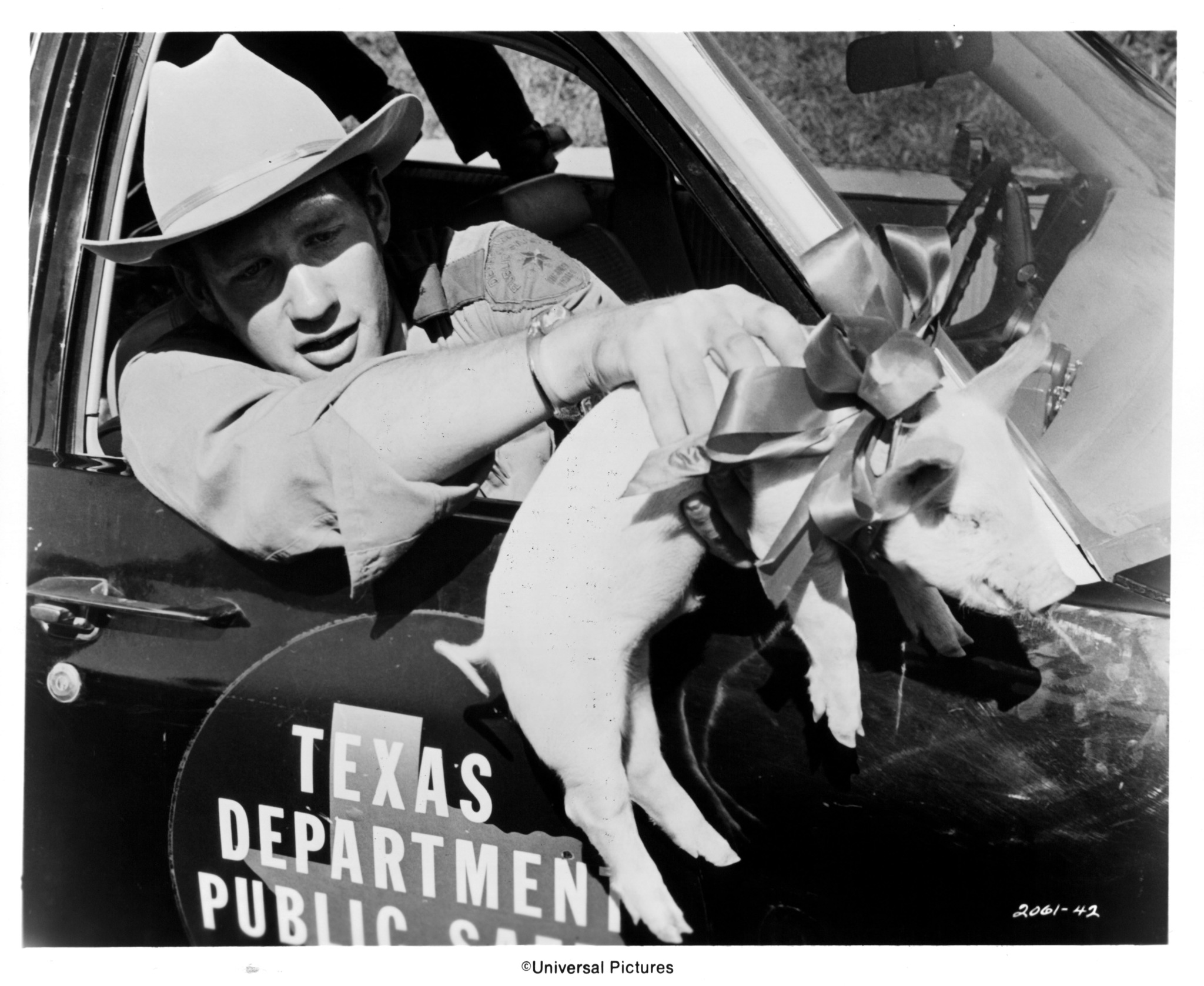 actor Michael Sacks large photo