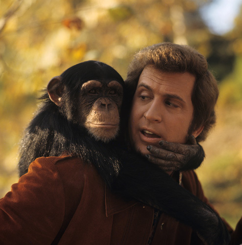 actor Ted Bessell large photo