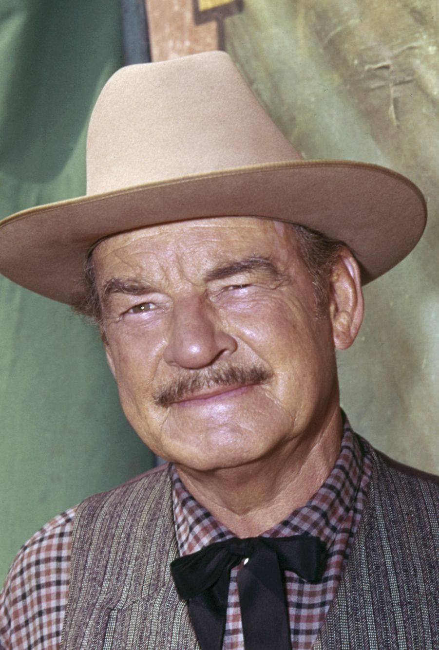 actor Ray Teal large photo