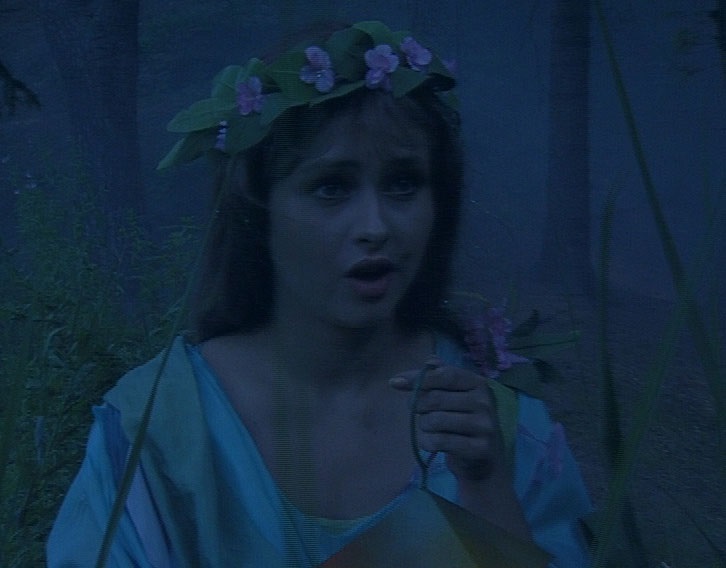 actor Dana Morávková large photo