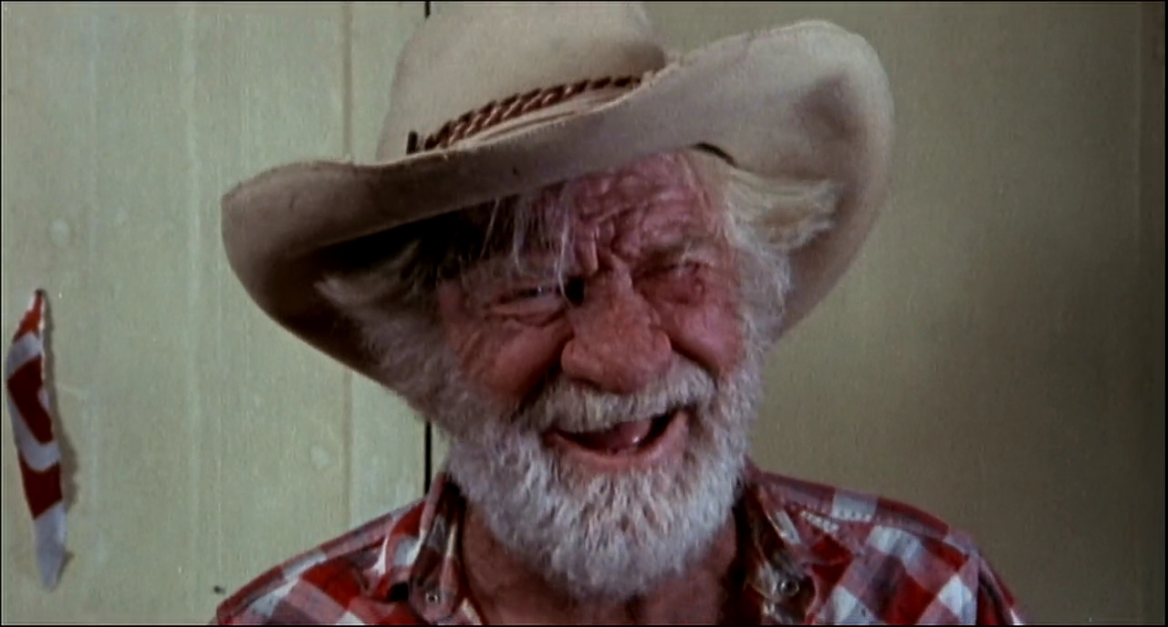 actor John Steadman large photo