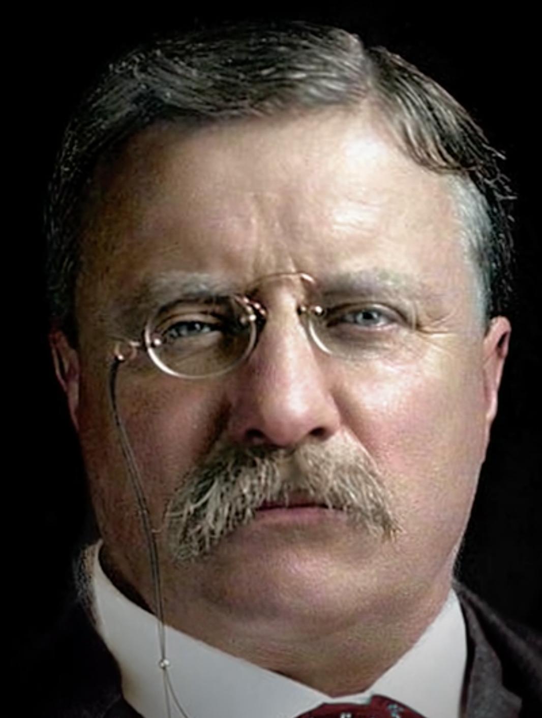 actor Theodore Roosevelt large photo