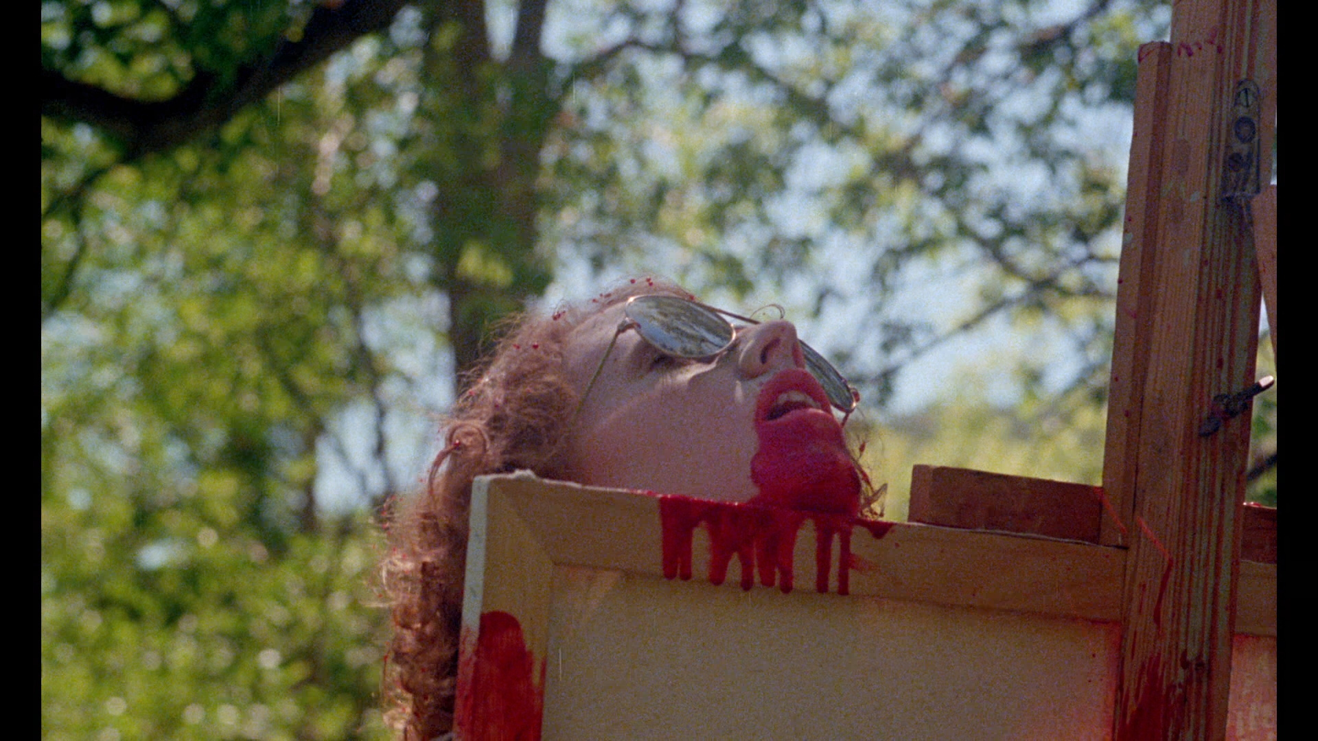 actor Cecilia Fannon large photo