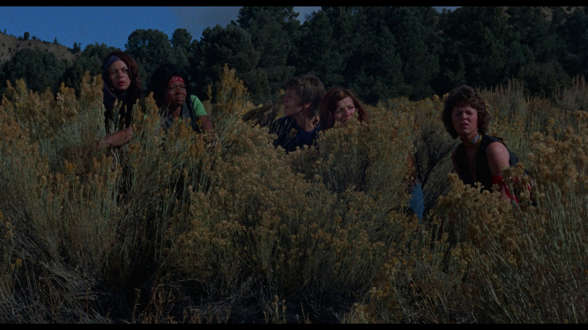 actor Donna Young large photo