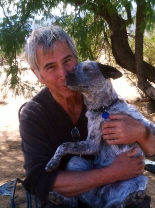 actor Dan O'Dowd large photo