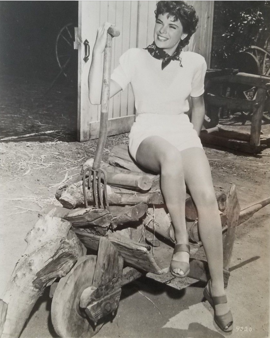 actor Marcia Van Dyke large photo