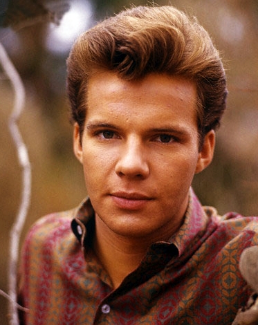 actor Bobby Vee large photo
