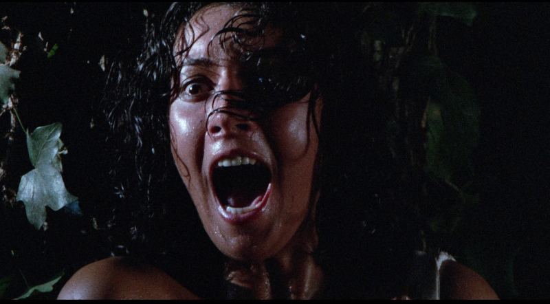 actor Annamaria Clementi large photo