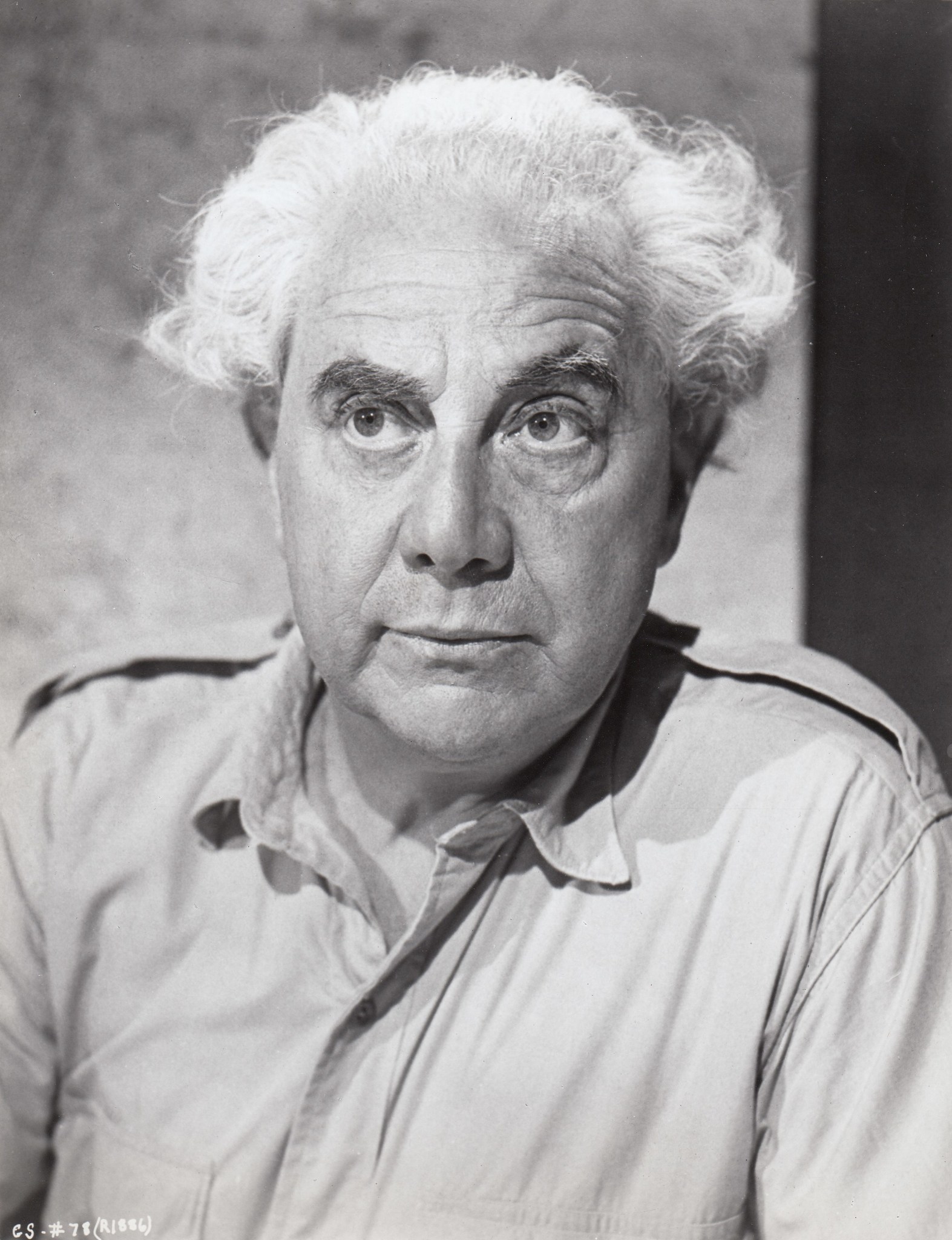 actor Luther Adler large photo