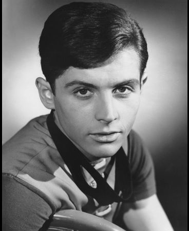 actor Burt Ward large photo