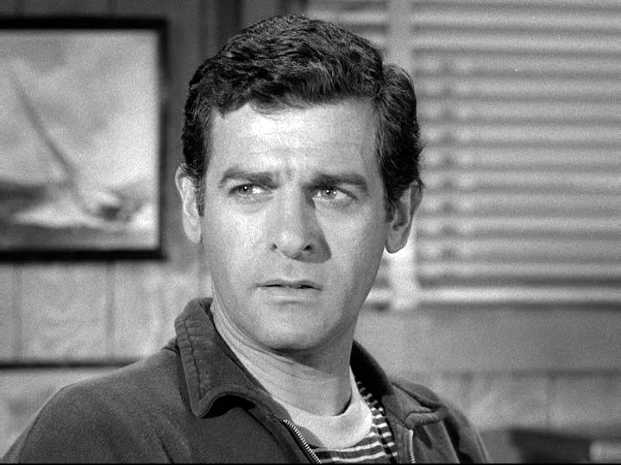 actor Lee Philips large photo