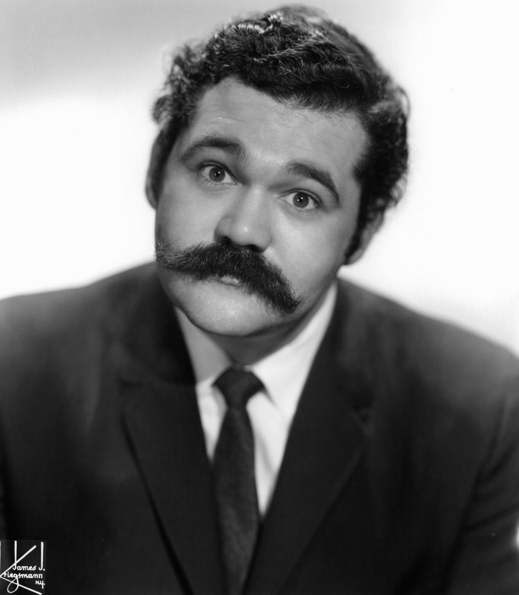 actor Avery Schreiber large photo
