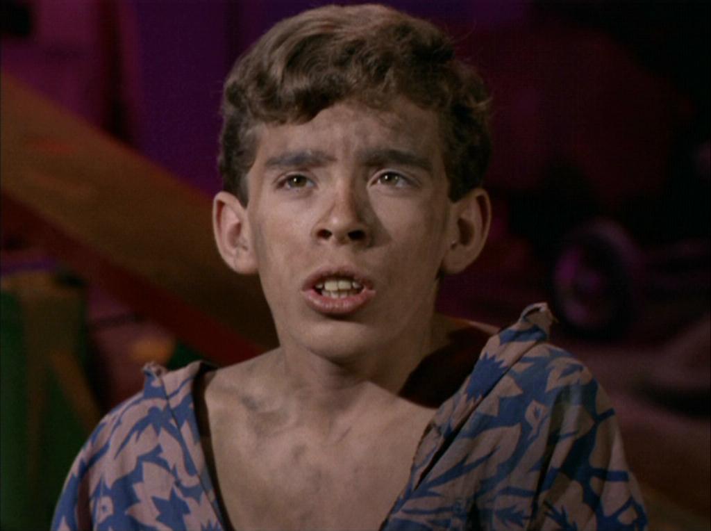 actor John Megna large photo