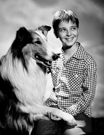 actor Tommy Rettig large photo