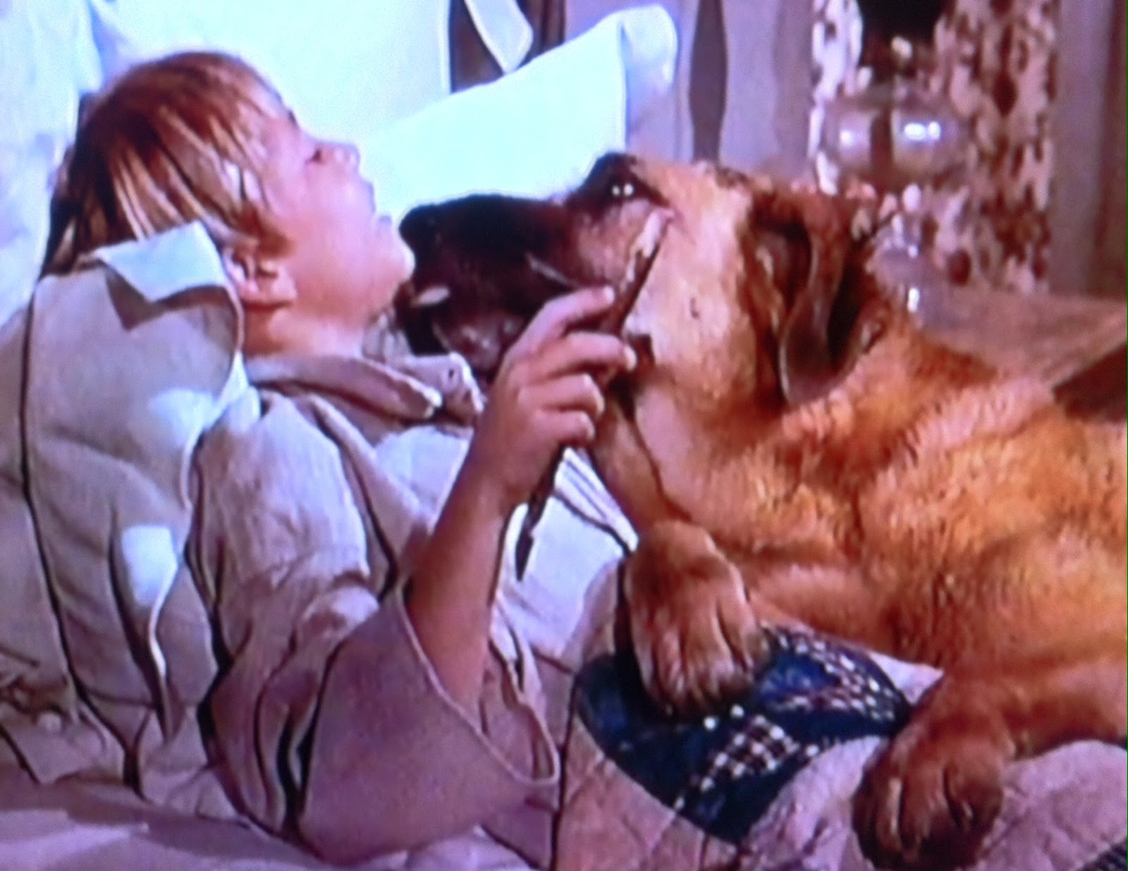 actor Buddy Foster large photo