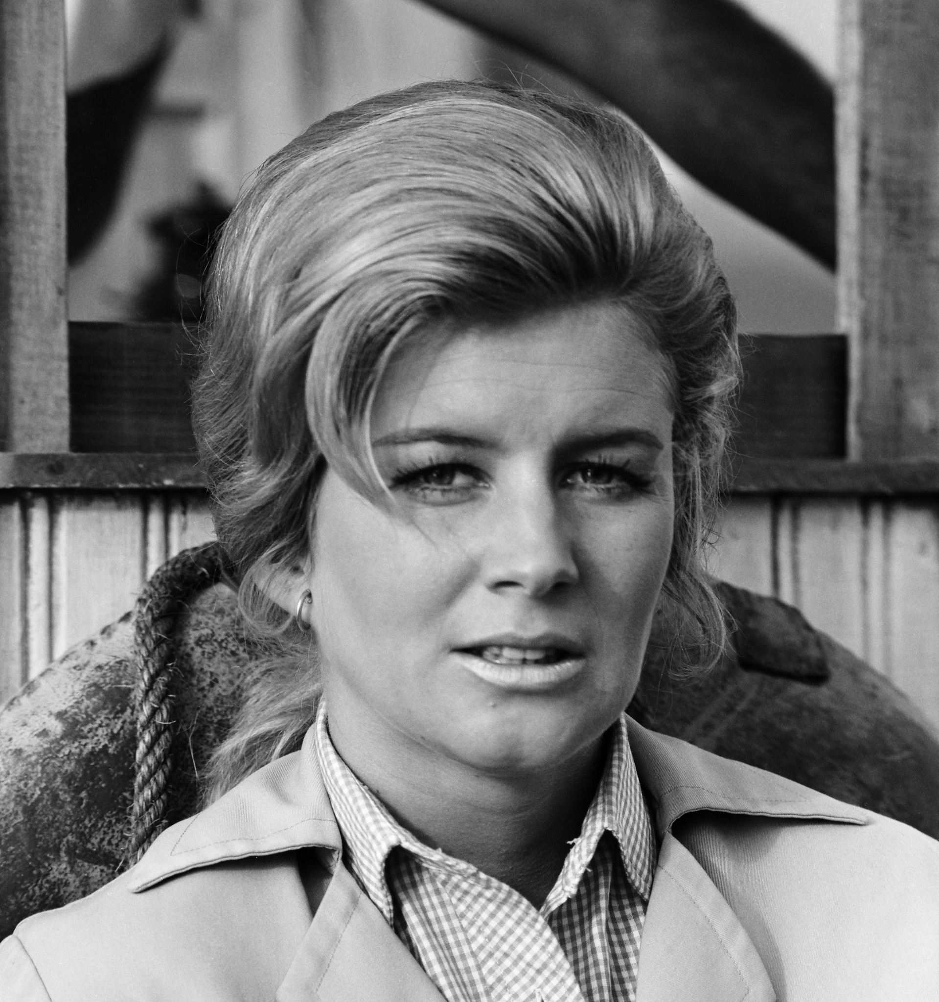 actor Sheilah Wells large photo