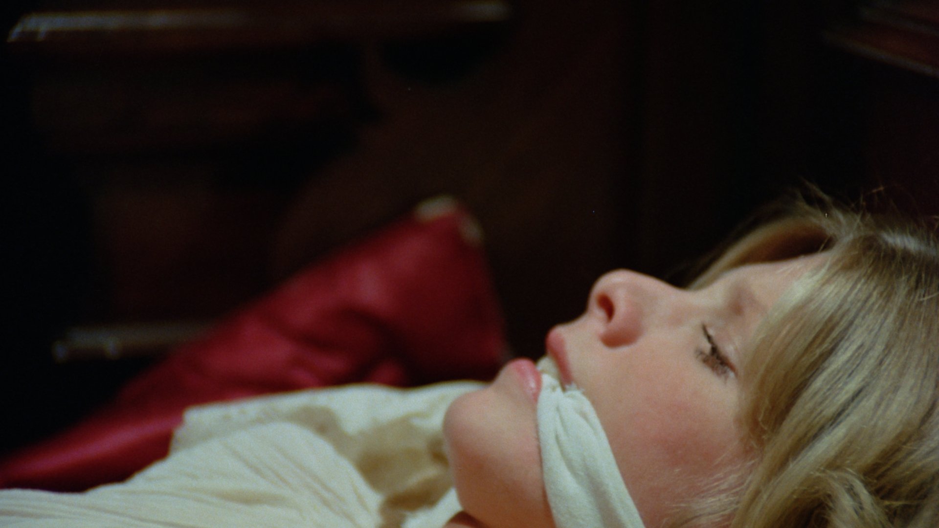 actor Dawn Carver Kelly large photo