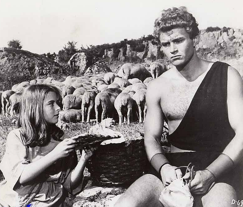 actor Ivica Pajer large photo