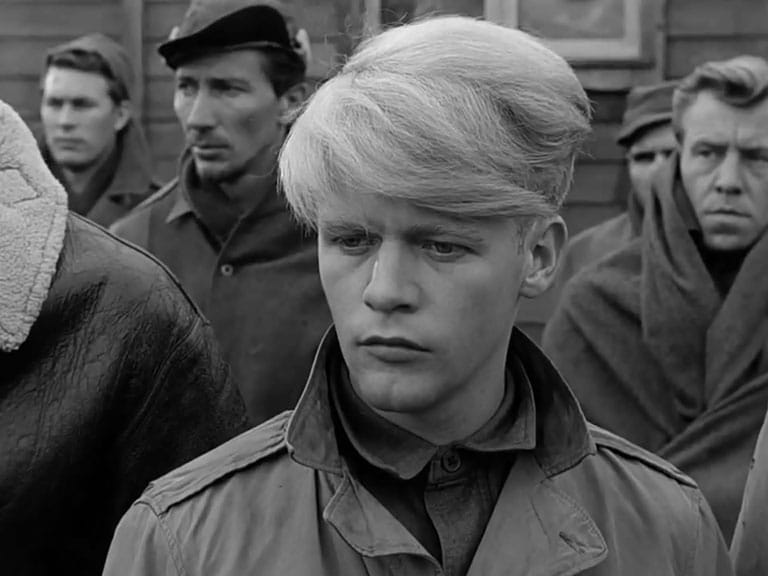 actor Robert Shawley large photo