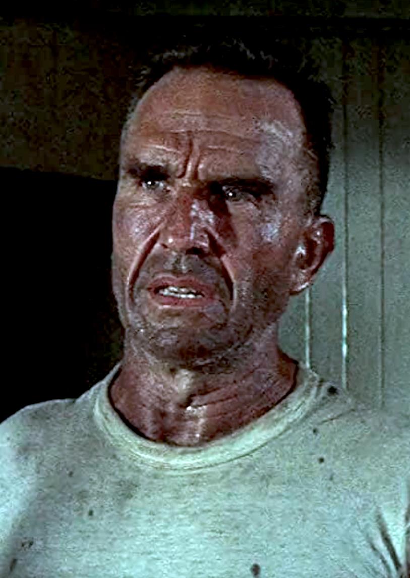 actor Ford Rainey large photo