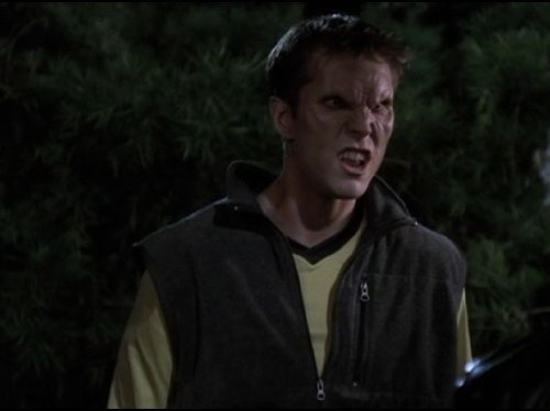 actor William Vogt large photo