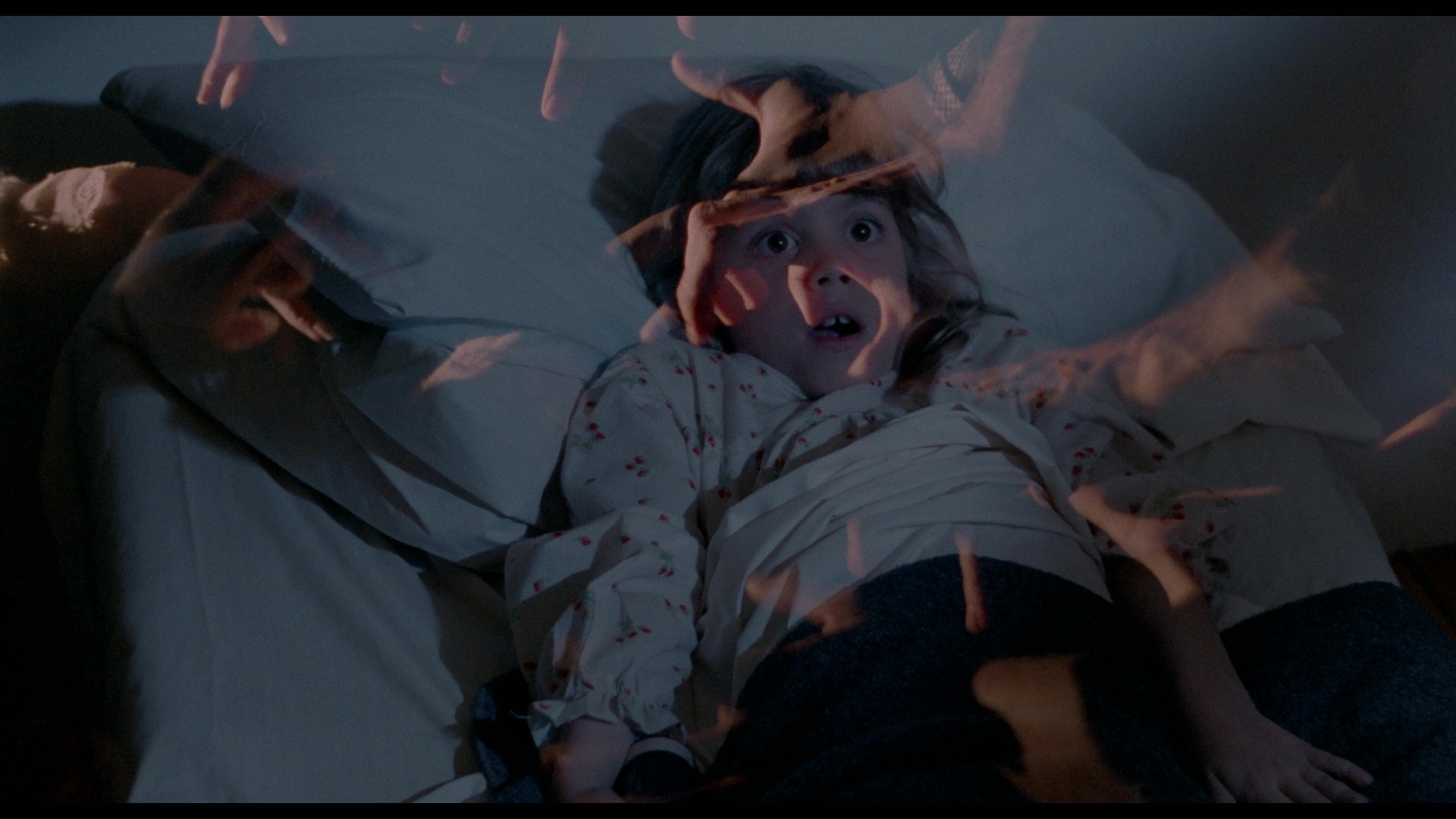 actor Dana Nardelli large photo