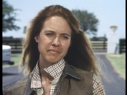 actor Jenilee Harrison large photo