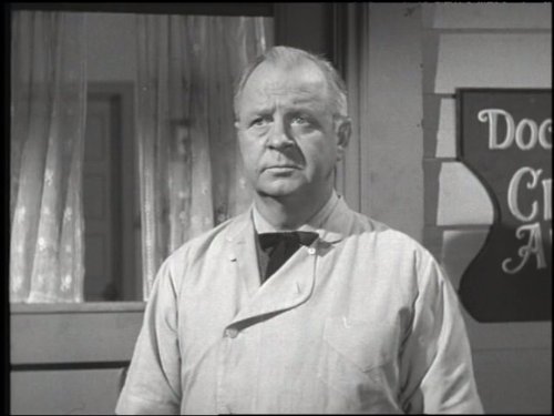 actor Harry Harvey large photo