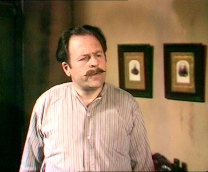 actor Michael Segal large photo