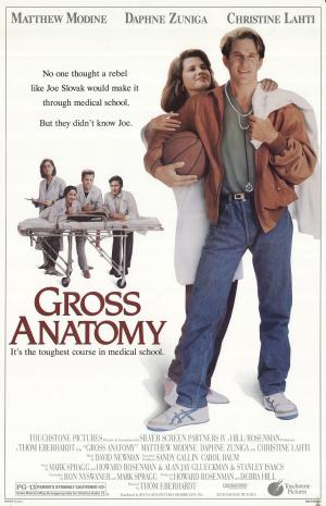 Gross Anatomy [Version française]
