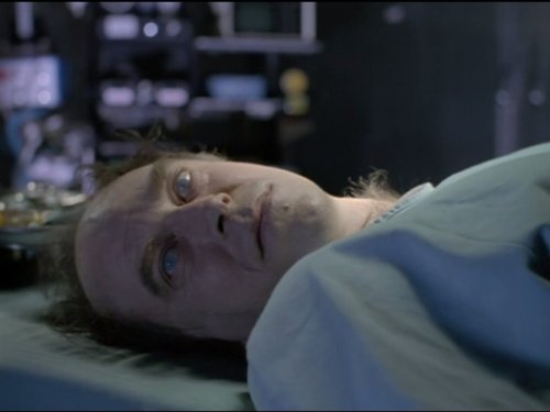 actor David Petersen large photo