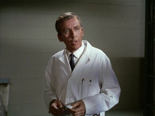 actor Lou Robb large photo