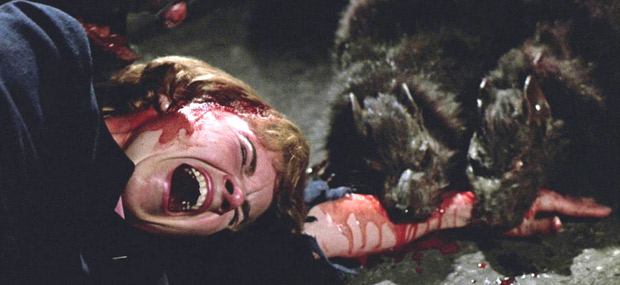 actor Joseph Kelly large photo