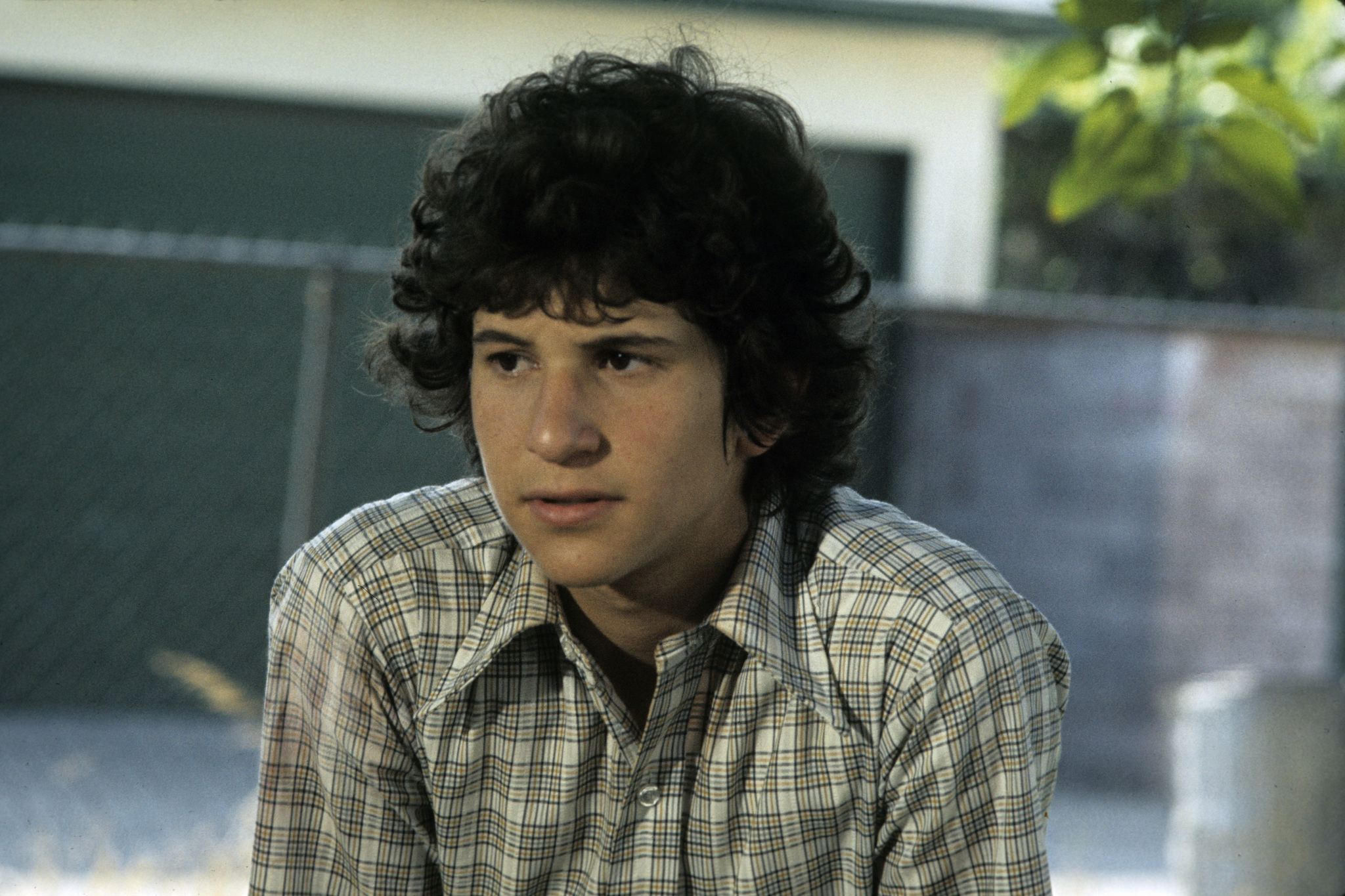 actor Scott Jacoby large photo