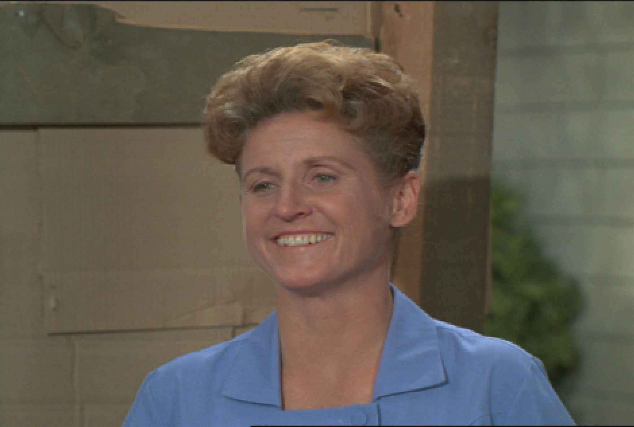 actor Ann B. Davis large photo