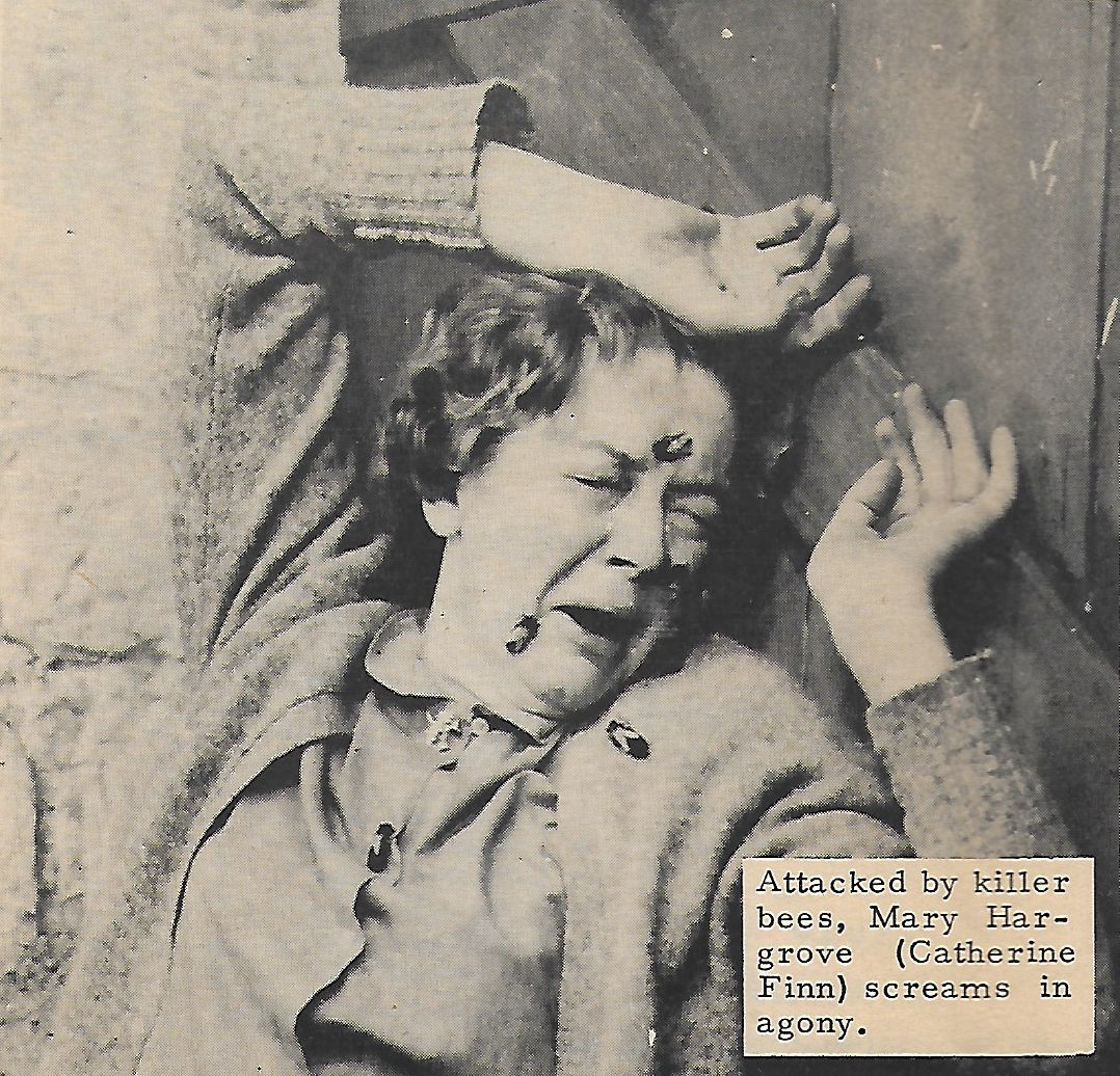 actor Catherine Finn large photo