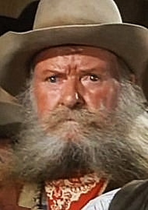 actor Bill Borzage large photo