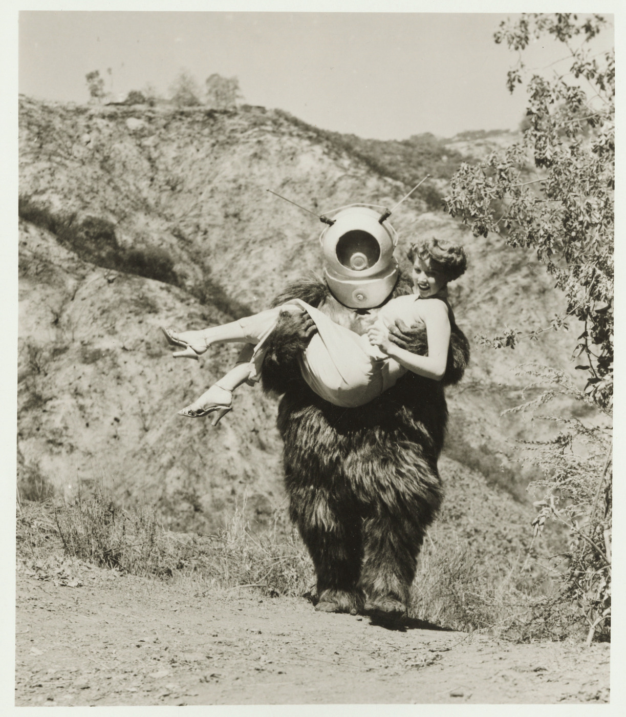 actor Claudia Barrett large photo