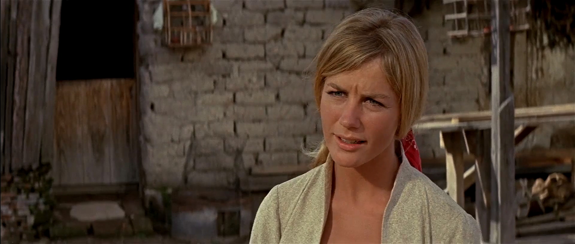 actor Valora Noland large photo