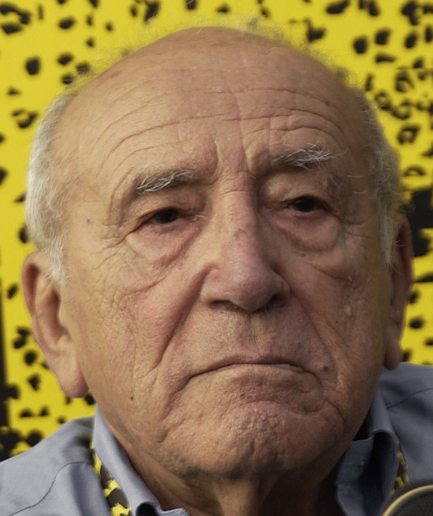 actor Arnoldo Foà large photo