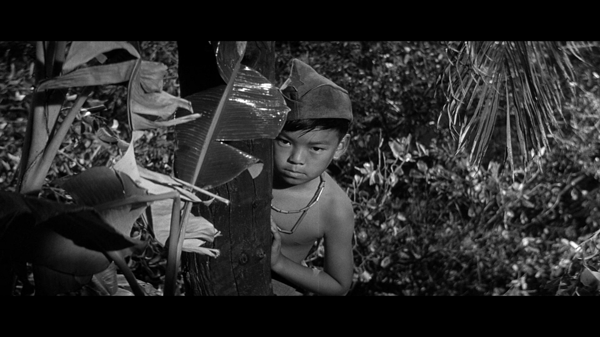 actor Warren Hsieh large photo