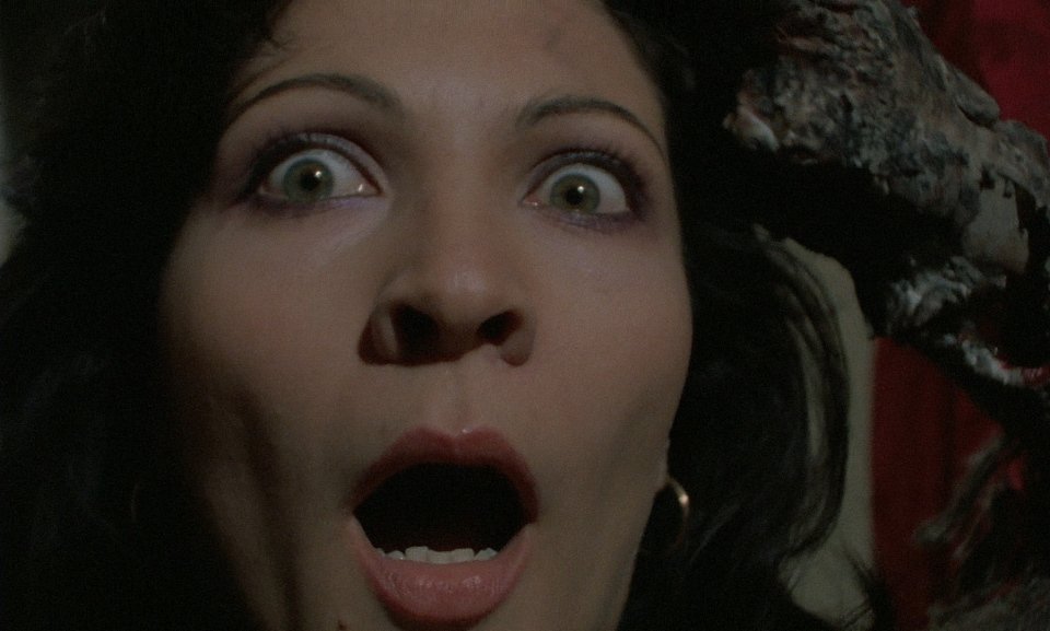 actor Antonella Antinori large photo