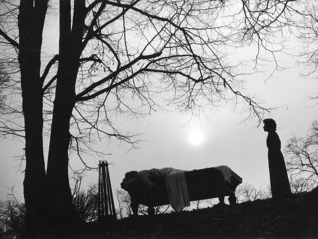 actor Nicole Stéphane large photo