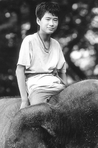 actor Dinh Thien Le large photo