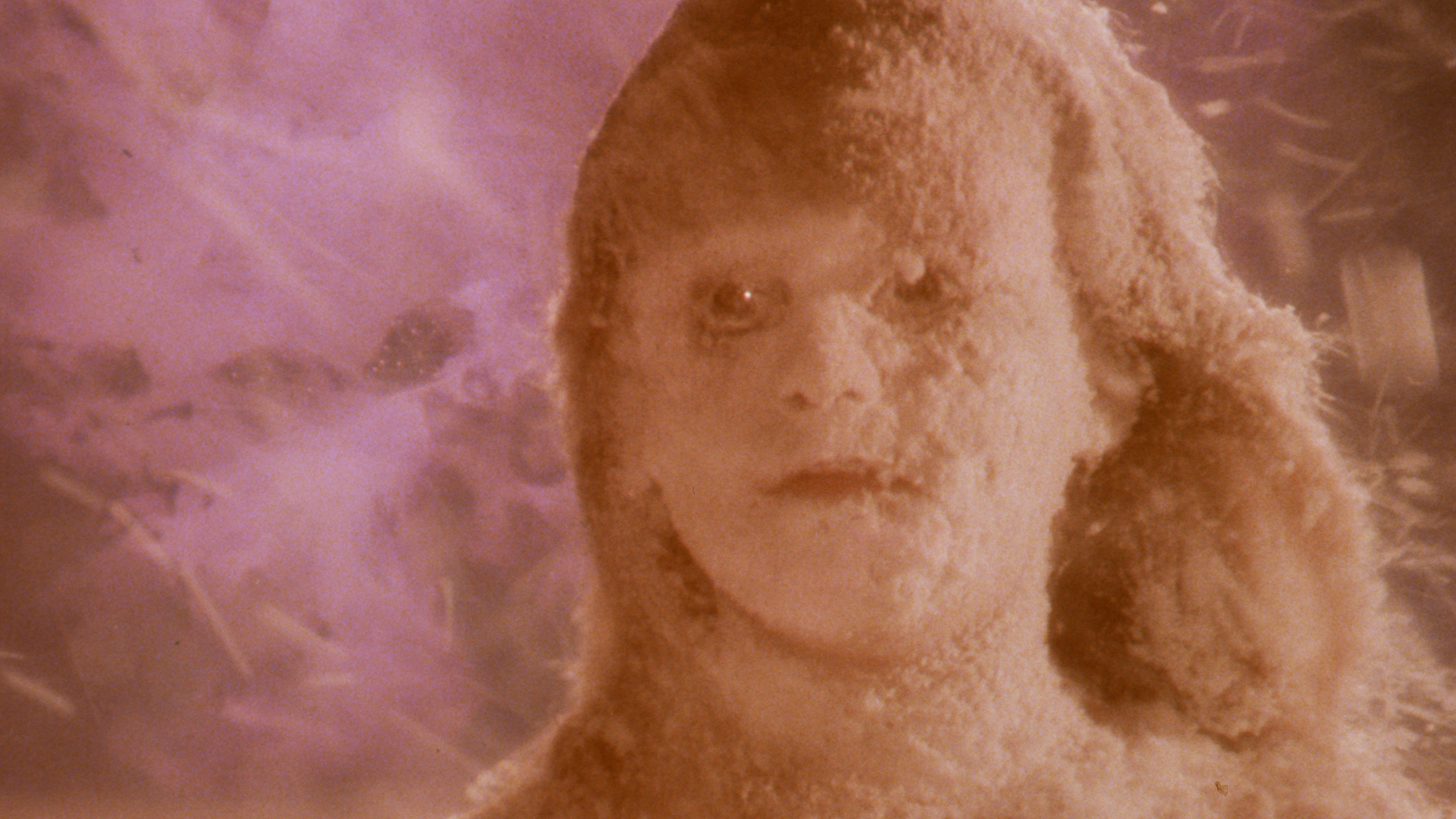 actor Paige Conner large photo