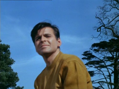 actor Stuart Damon large photo