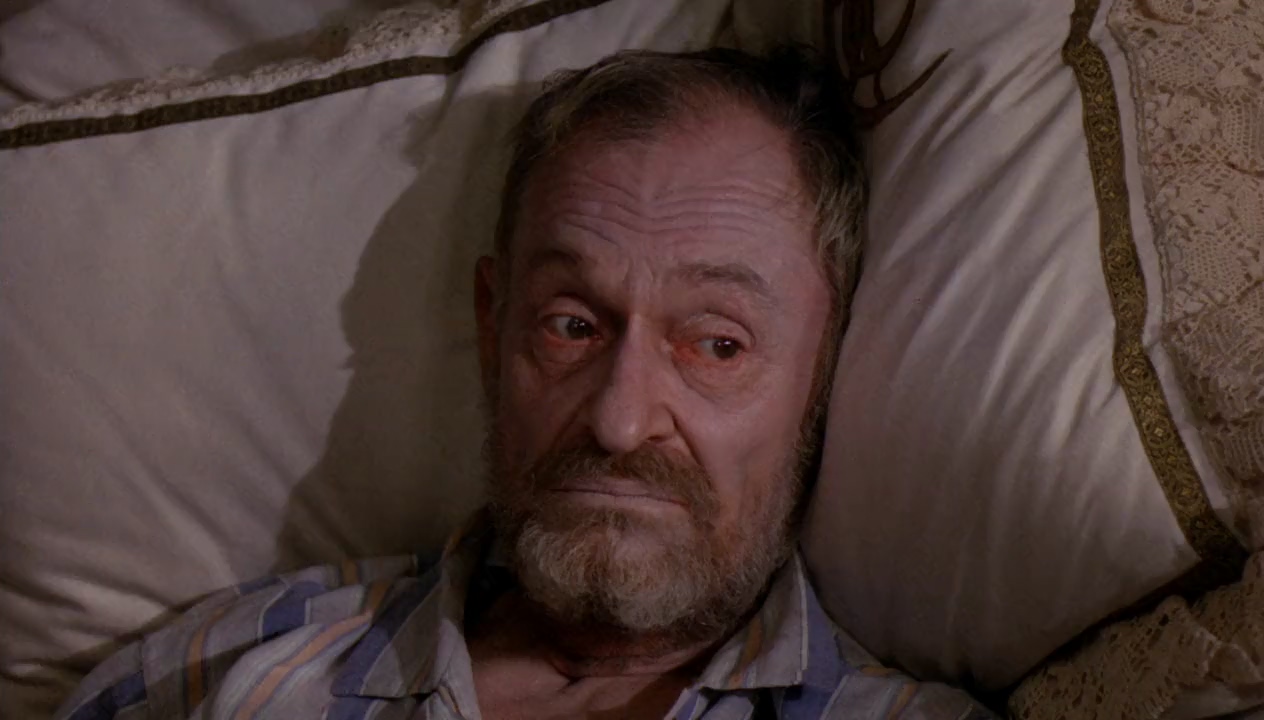 actor Alan Webb large photo